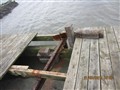 IMG_3903.JPG