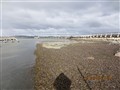 IMG_3886.JPG