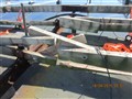 IMG_4007.JPG