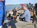 IMG_4021.JPG